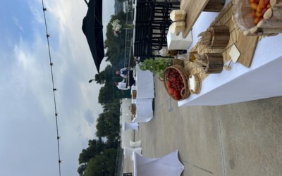 Terrasse panoramique