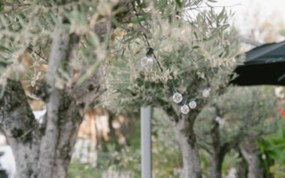 Décoration extérieure